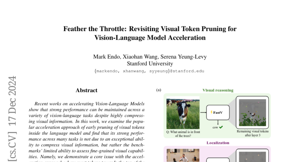 Feather the Throttle: Revisiting Visual Token Pruning for Vision-Language Model Acceleration