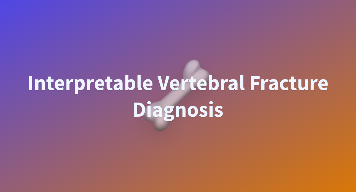 Interpretable Vertebral Fracture Diagnosis - a Hugging Face Space by ...